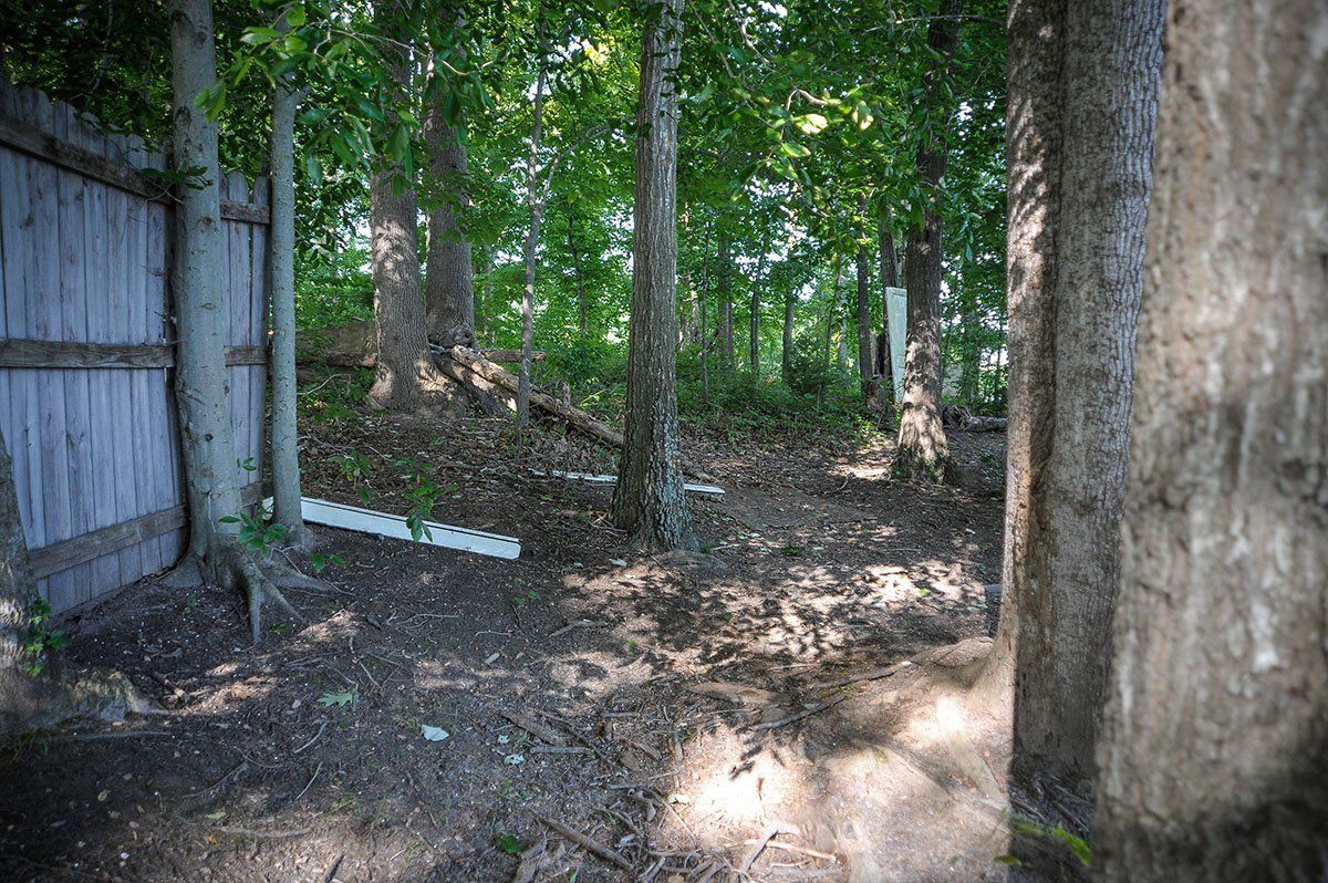 A wooden fence is surrounded by trees in a forest.