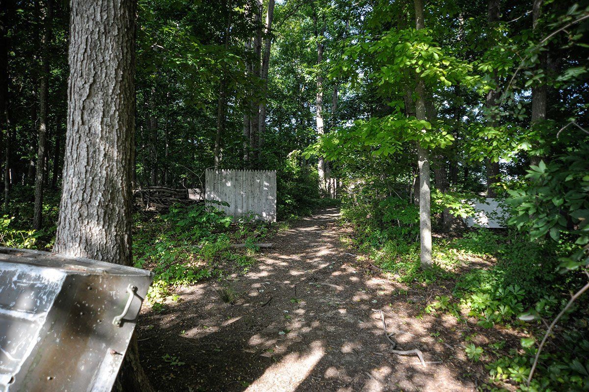 A path in the woods with trees and a white fence