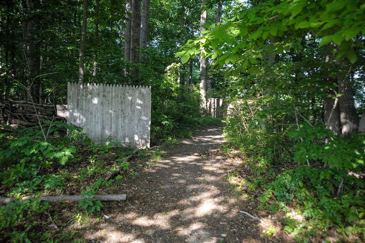A path in the woods with trees and a white fence.
