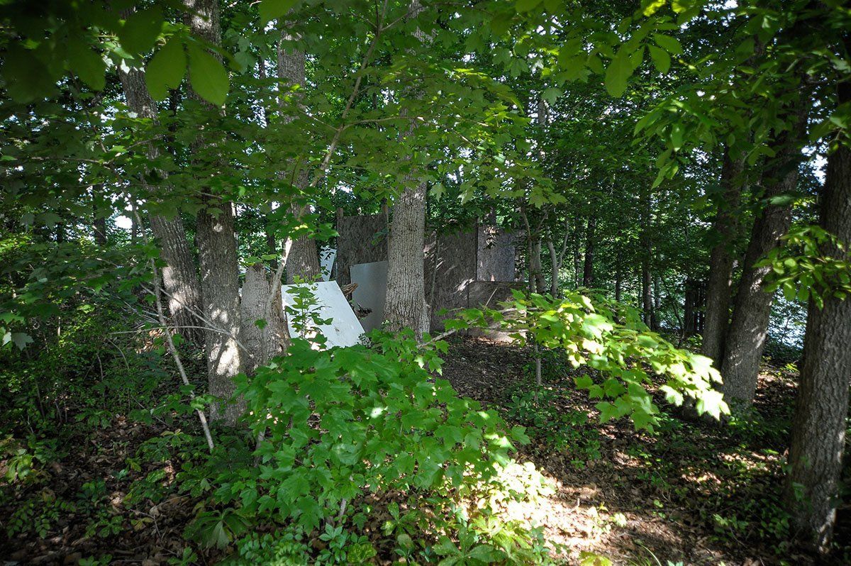 A white tent is sitting in the middle of a forest.