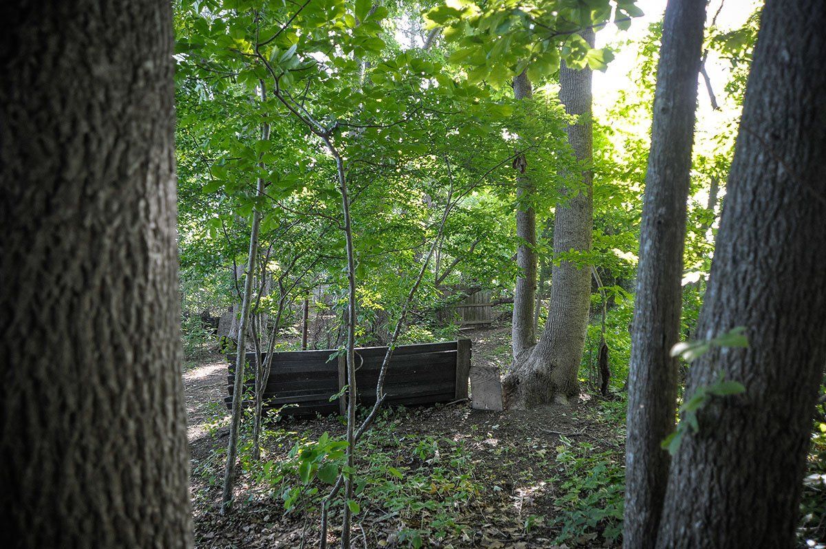 A wooden bench is sitting in the middle of a forest.