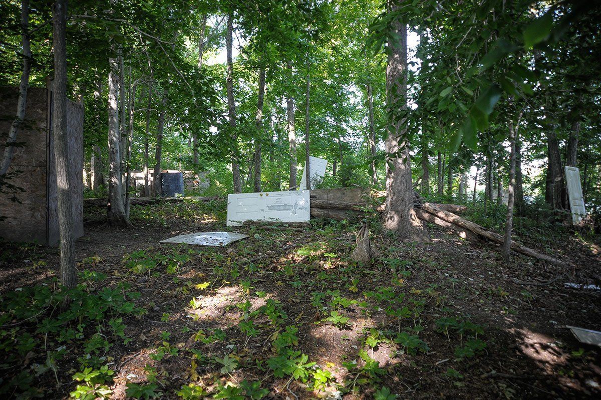 A wooded area with a lot of trees and leaves on the ground.