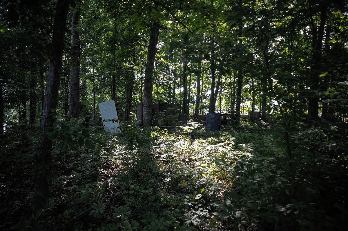 The sun is shining through the trees in the woods.