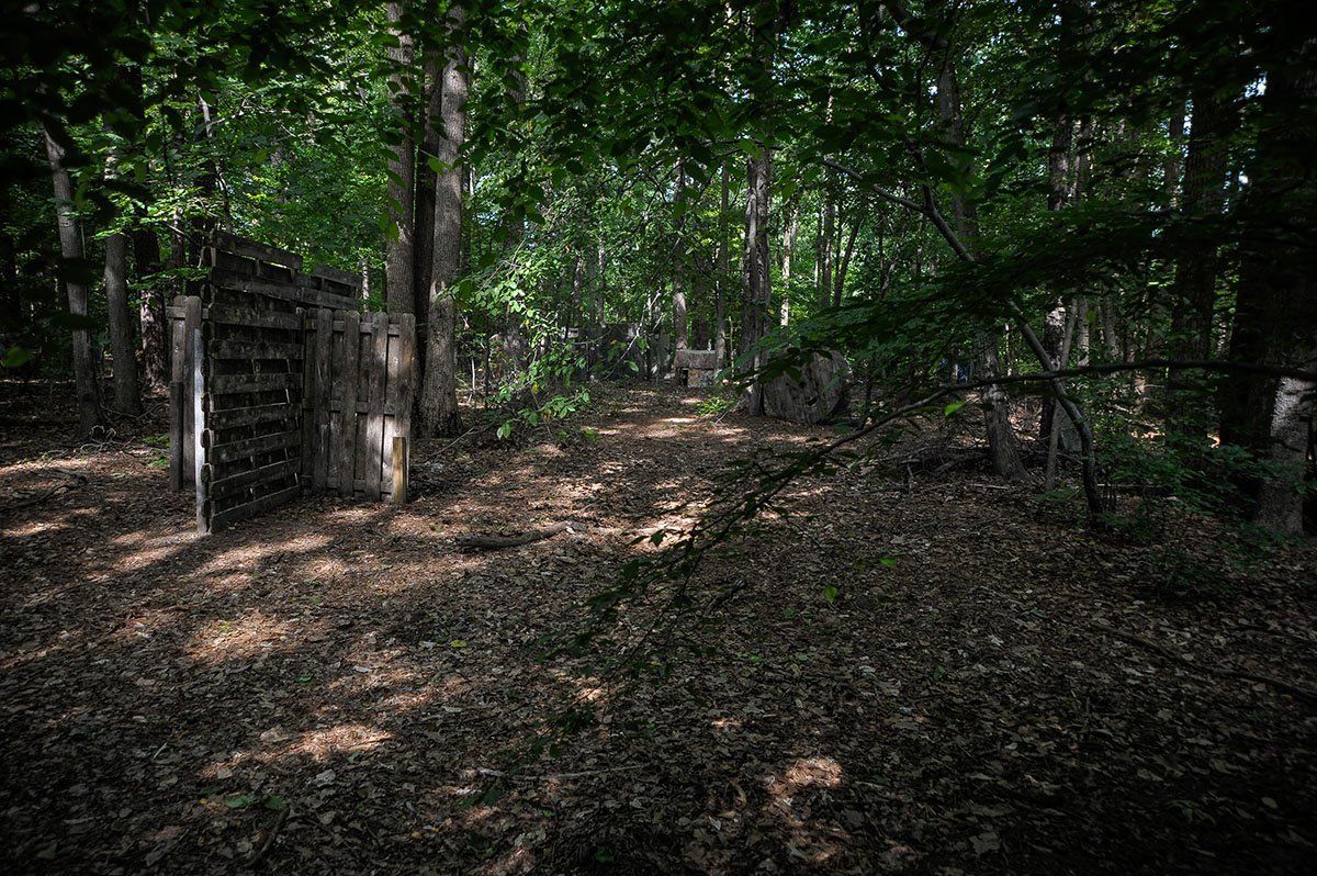 A path in the middle of a forest with trees and leaves on the ground.