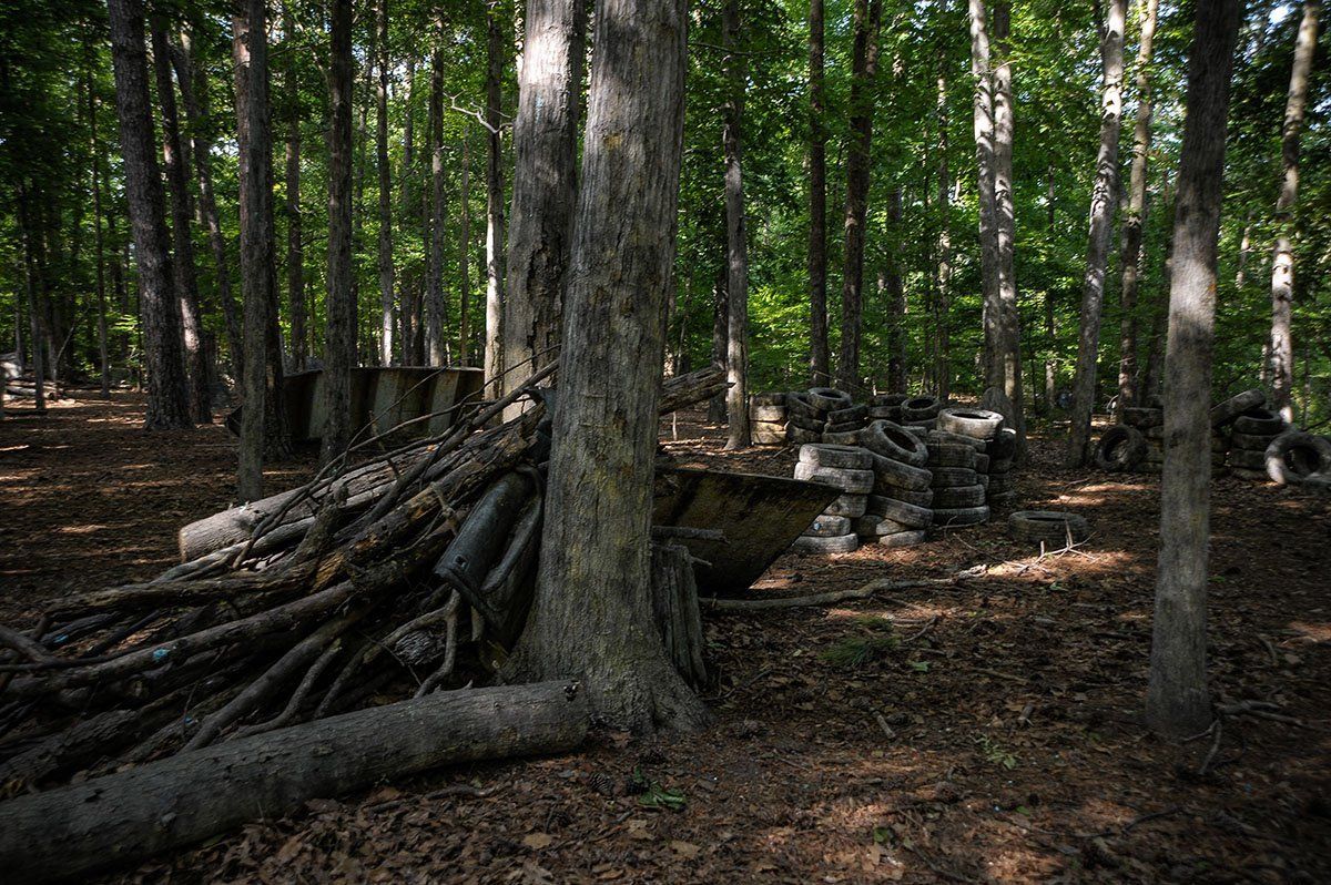 A pile of logs is sitting in the middle of a forest.
