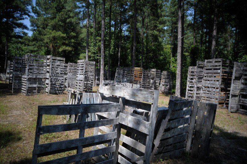 A field filled with wooden pallets in the middle of a forest.