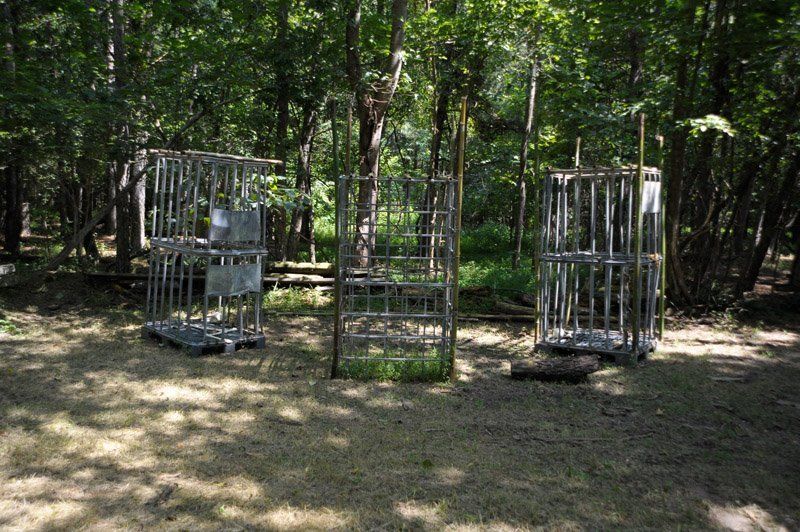 A group of metal crates are sitting in the middle of a forest.