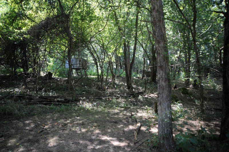 There is a tree house in the middle of the woods.