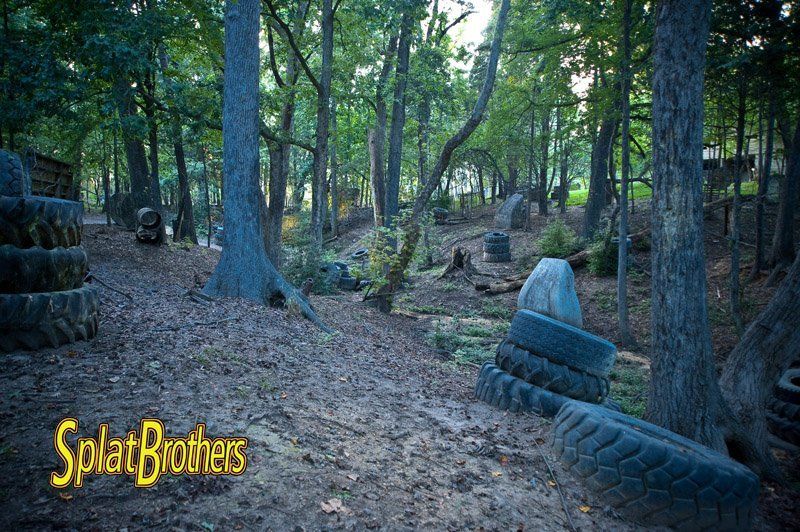 A stack of tires is sitting in the middle of a forest.