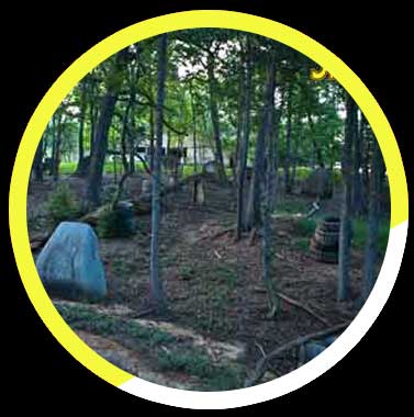 A circle with trees and rocks in it on a black background