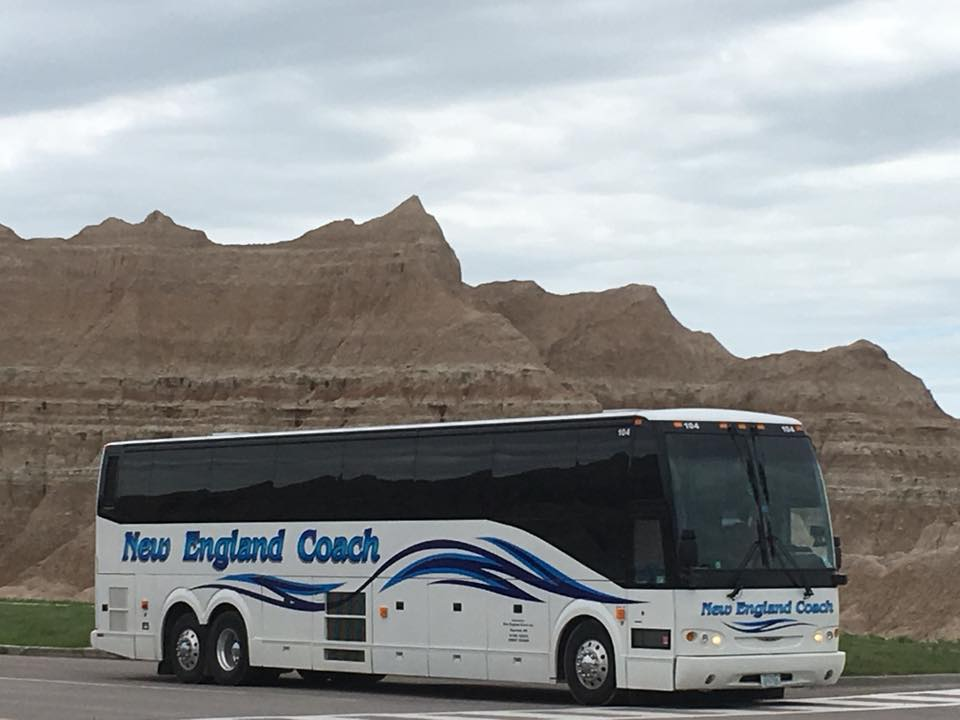 new england coach