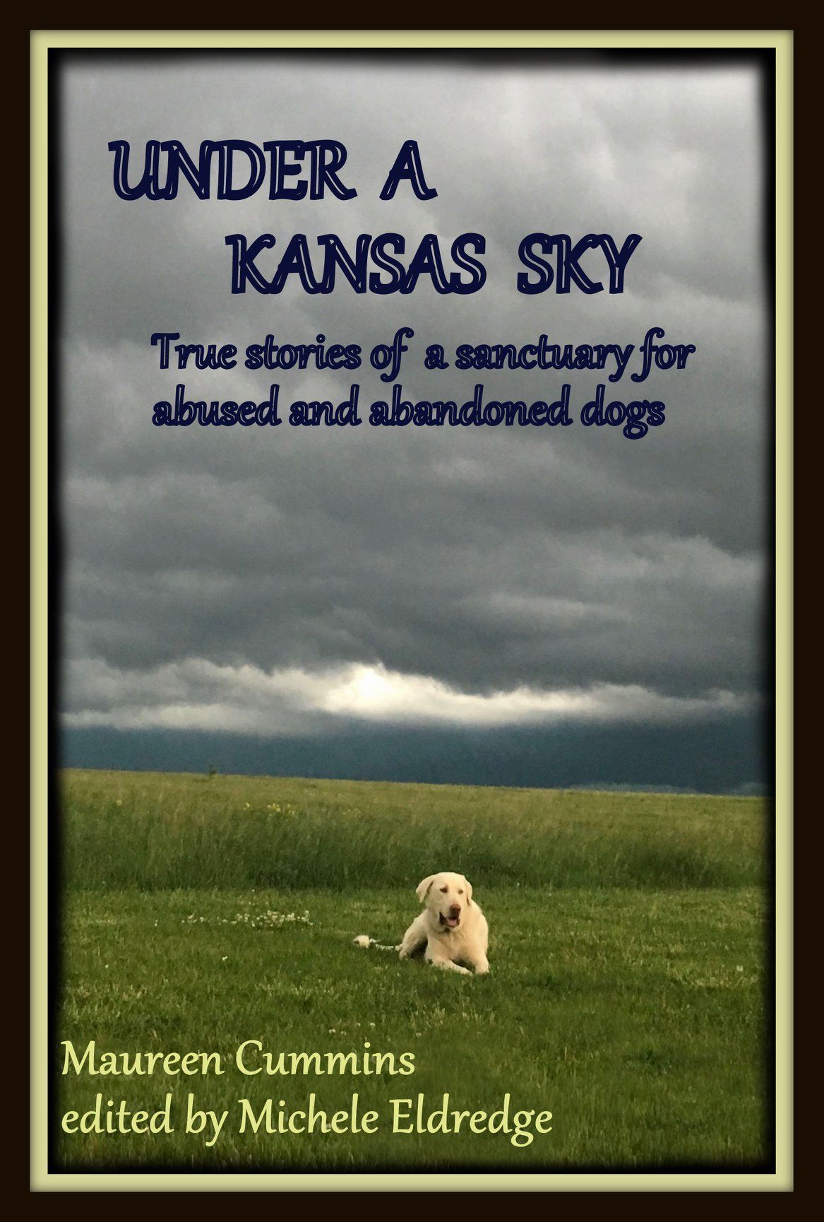 Book cover: Yellow dog in field under dark Kansas sky. Title: