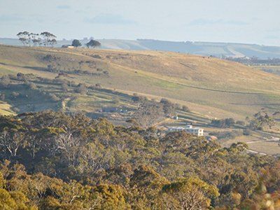 view of open land and sky