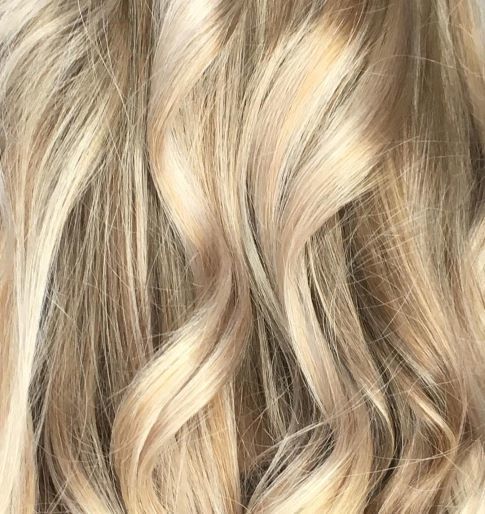 highlights