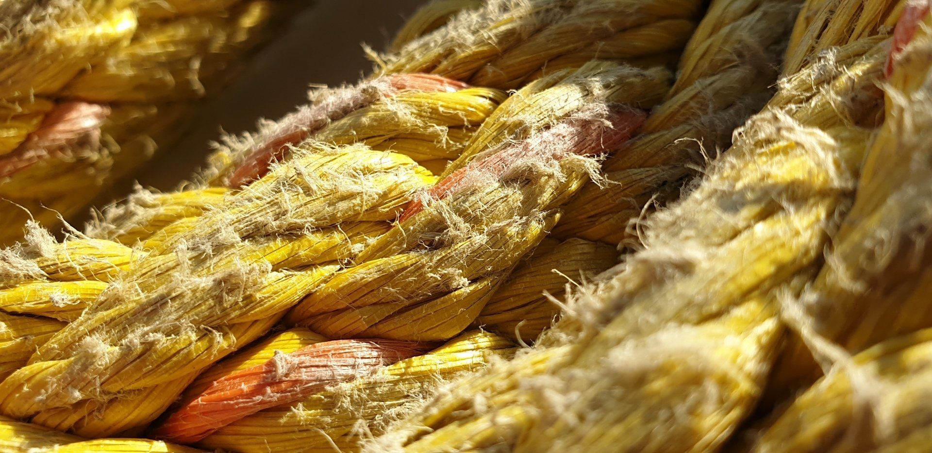 Close-up van een geel en rood gevlochten touw met gerafelde randen.