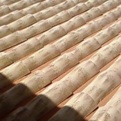 posa economica coppi