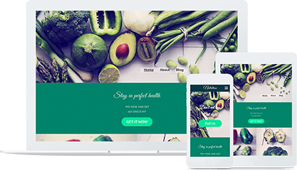 Nutrition Advisor Business Website Template Preview our Nutrition Advisor Website Template
