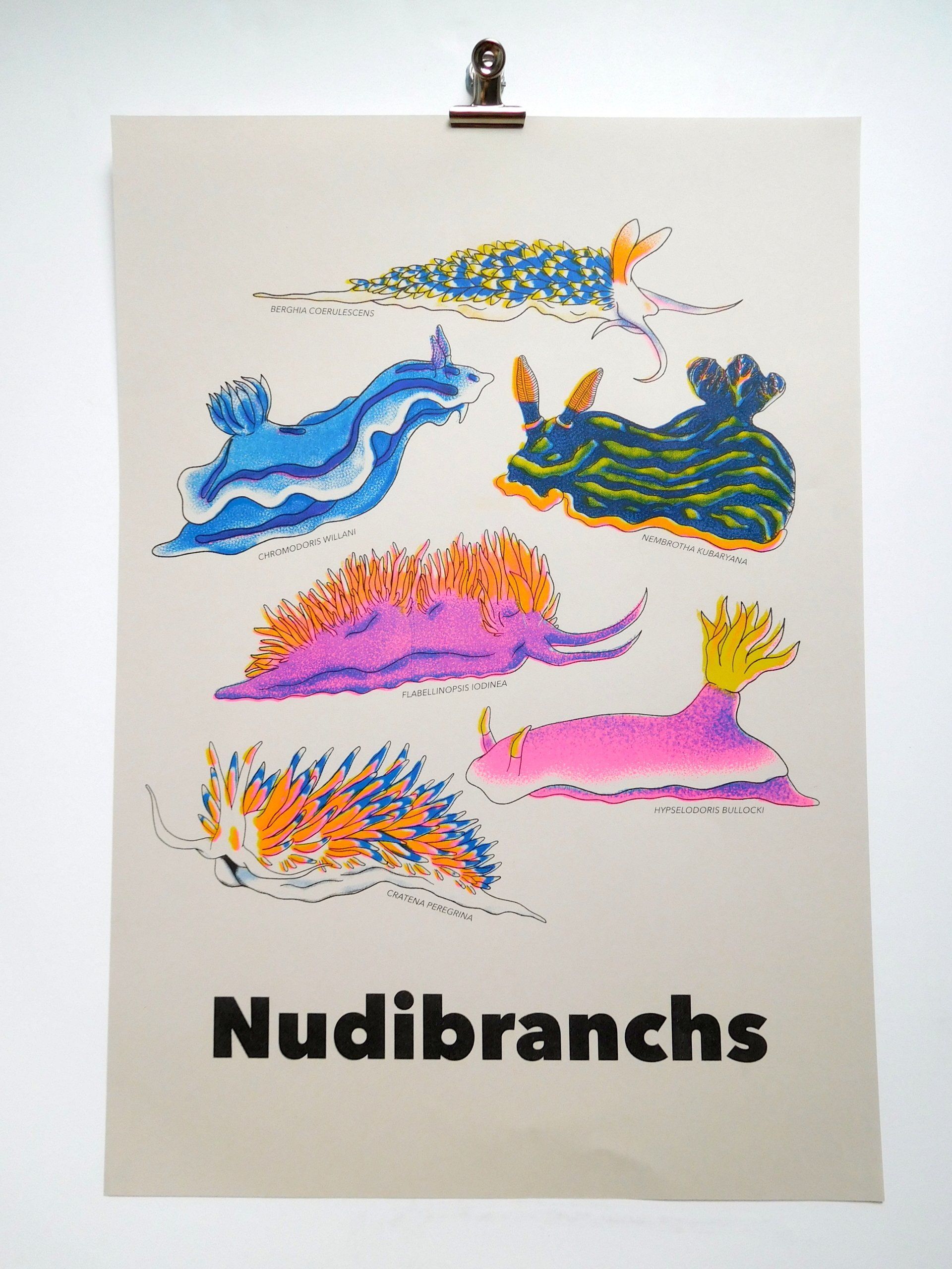 Nudibranch illustration risograph print