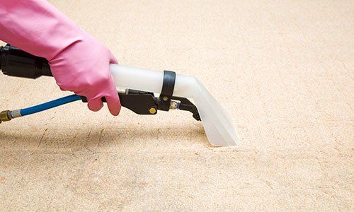 Carpets being chemically cleaned in Anchorage