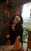 Pet caring — Poodle in Washoe Valley, NV