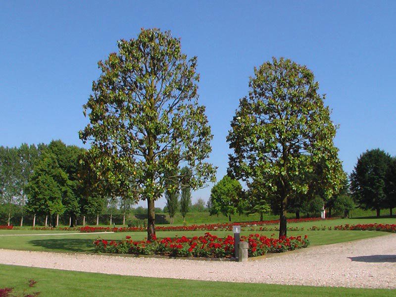 giardino per organizzazione di eventi