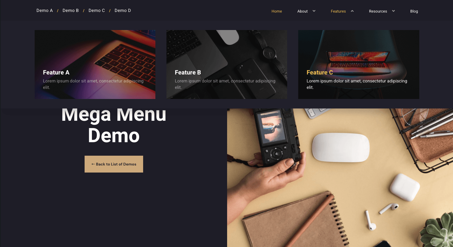 Screenshot of Mega Menu in Action