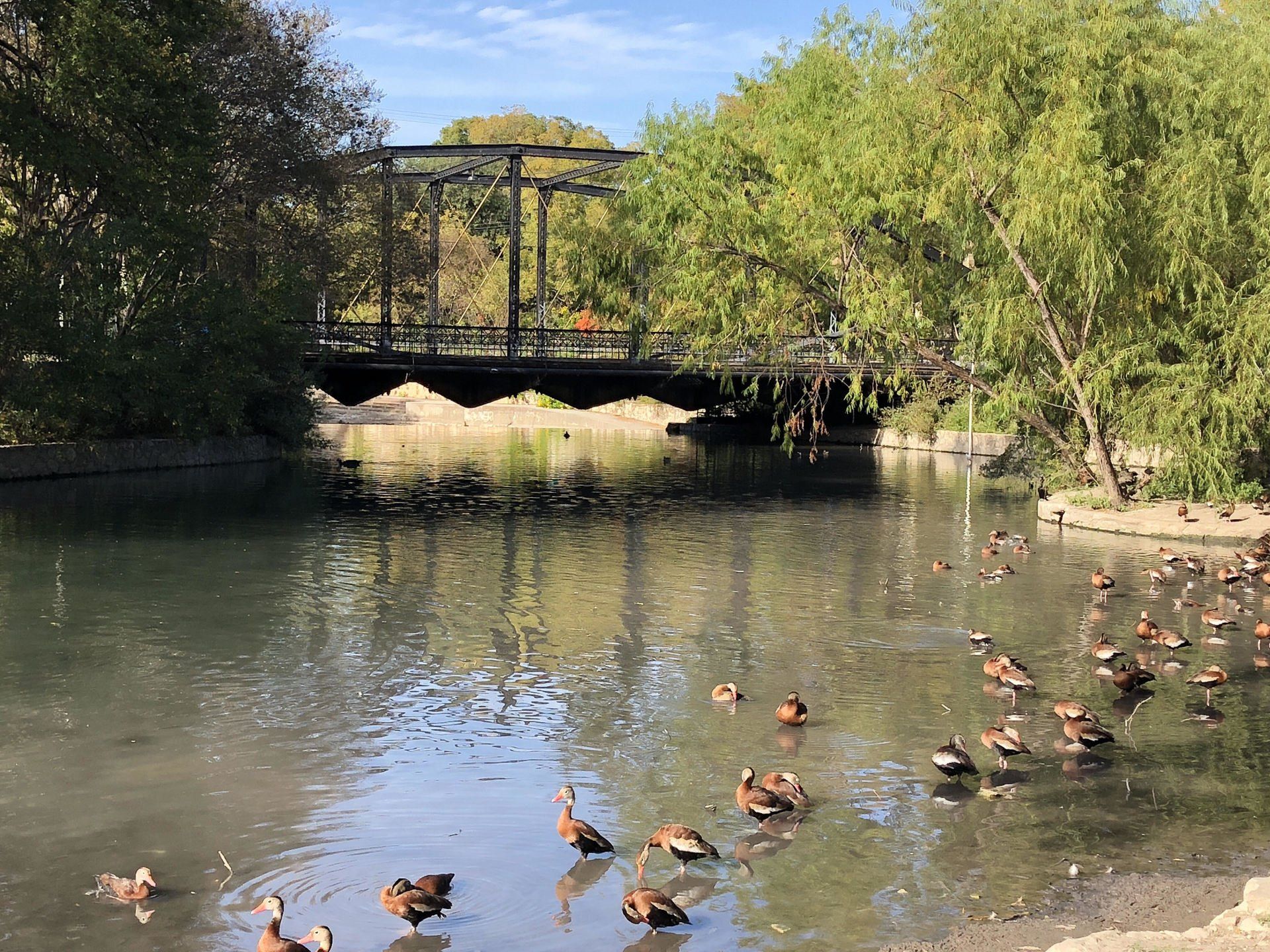 San Antonio Individual Therapy, Walk and Talk Therapy, Intensives | Take 2 Counseling | Karen Gulde, JD, LPC-Intern & Christopher Gulde, MD, LPC-Intern