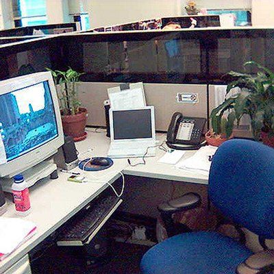 Employment Law Employment Law