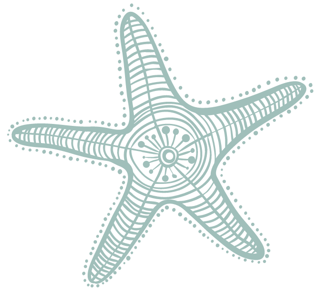 starfish