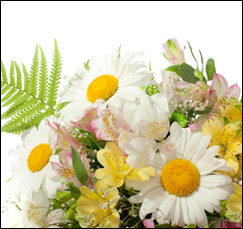 mazzo fiori freschi