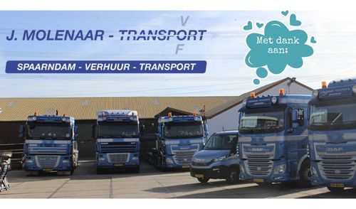 Transport, Vrachtwagens, Verhuur, Volkswagenbusje, trouwvervoer, samenwerken, huren, auto, VWT1, Oldtimer, Trouwvervoer