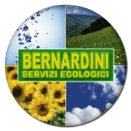 BERNARDINI SERVIZI ECOLOGICI-LOGO BERNARDINI SERVIZI ECOLOGICI-LOGO