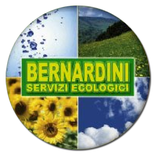 BERNARDINI SERVIZI ECOLOGICI-LOGO BERNARDINI SERVIZI ECOLOGICI-LOGO