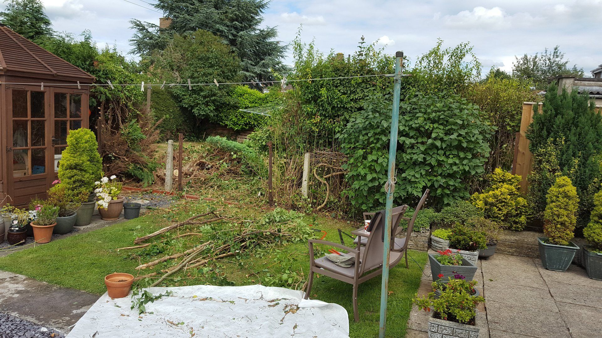 before garden services