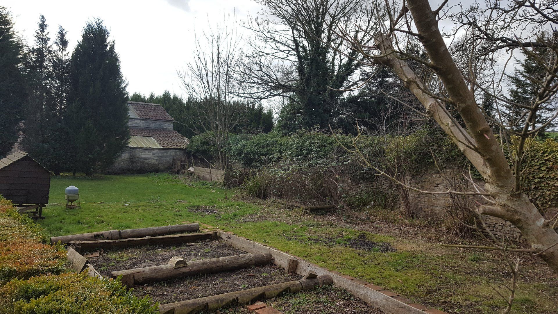 before image