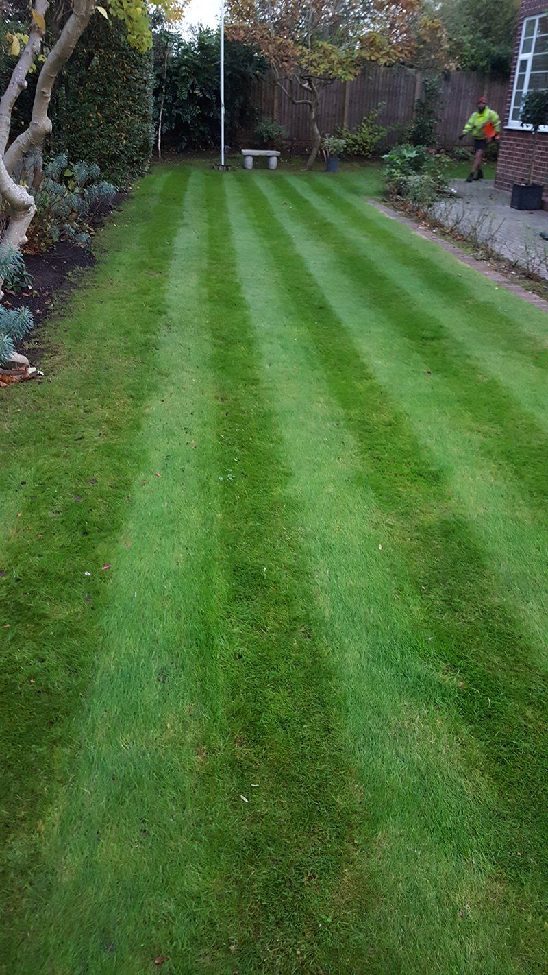 after garden clearance