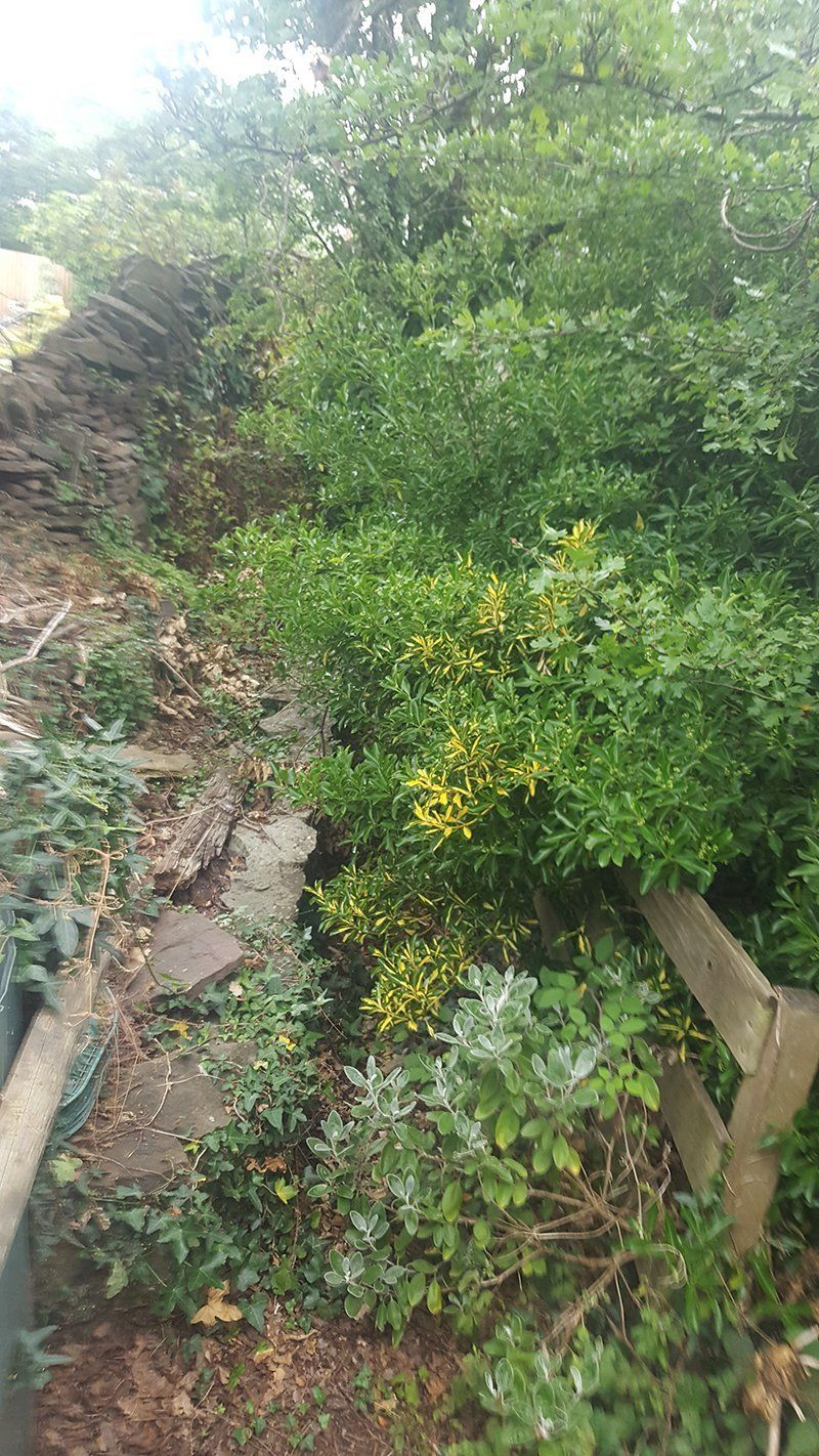 before image