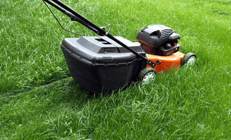 lawn mowing