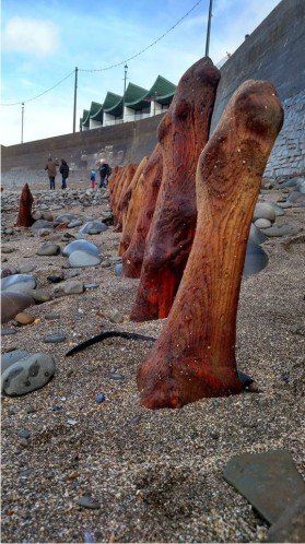 The old breakwater stumps on Westward Ho! beach