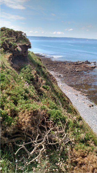 BIG CLIFFS IN THIS AREA Steep cliffs onto the beach at Cornbrough cliffs, North Devon. Follow the path for an easier access, pebble beach with the most amazing rock pools to explore
