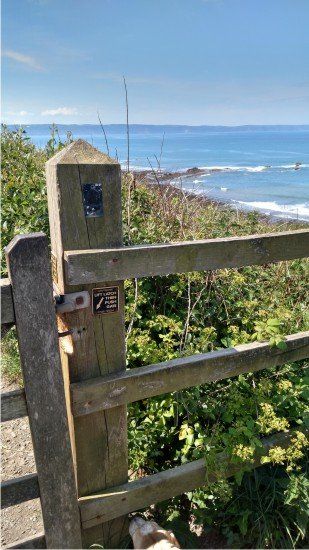 GATE ABOUT HALF WAY TO CORNBROUGH CLIFFS Gate that is half way to Cornbrough cliffs on the south west coast path from westward ho! The rolling fields met the sea here.