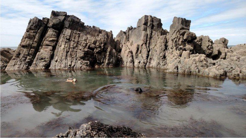 MERMAIDS POOL IN THE SUMMER Mermaids pool in Westward Ho! is the biggest rock pool, it's supposed to have a mermaid in it too!
