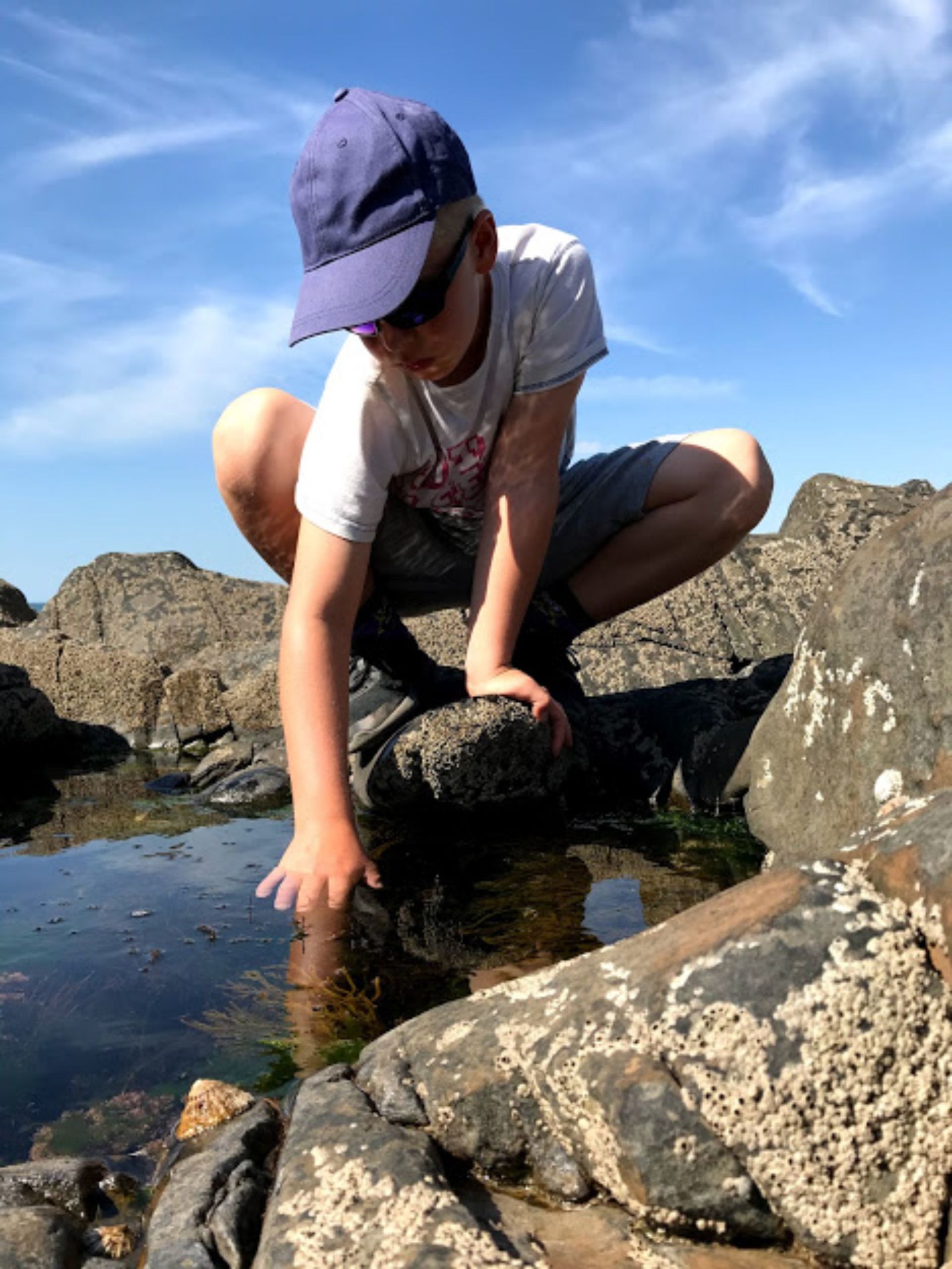 A child looking into the rock pools at Westward Ho! observing the wildlife in the rock pool. This is a must thing to do in Westward Ho!