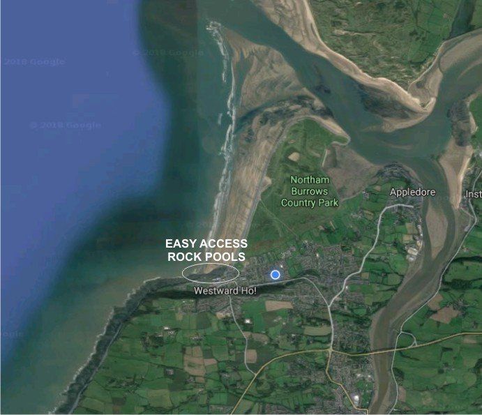EASY ACCESS ROCK POOLS The rock pools in the village are spread over a wide area, you can find lots of nature if you know what to look for.