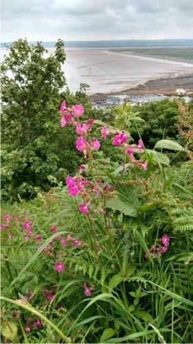 Kipling tors top path looks down onto Westward Ho! beach with great views over the Bristol Chanel and Lundy Island