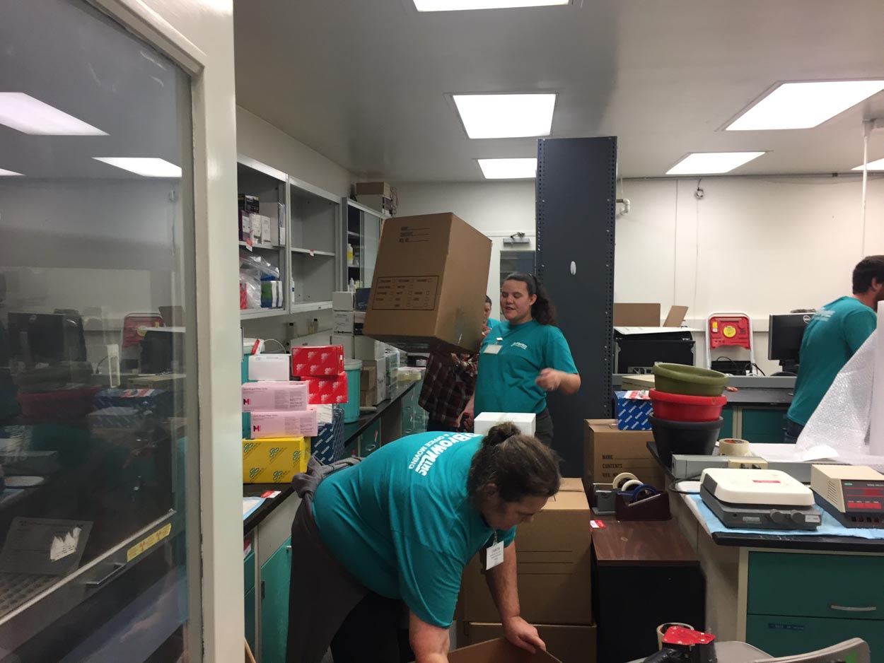 A woman in a blue shirt is holding a cardboard box in a room filled with boxes.