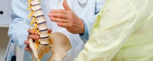 Spine Model — Chiropractic Care in Maynar, MA