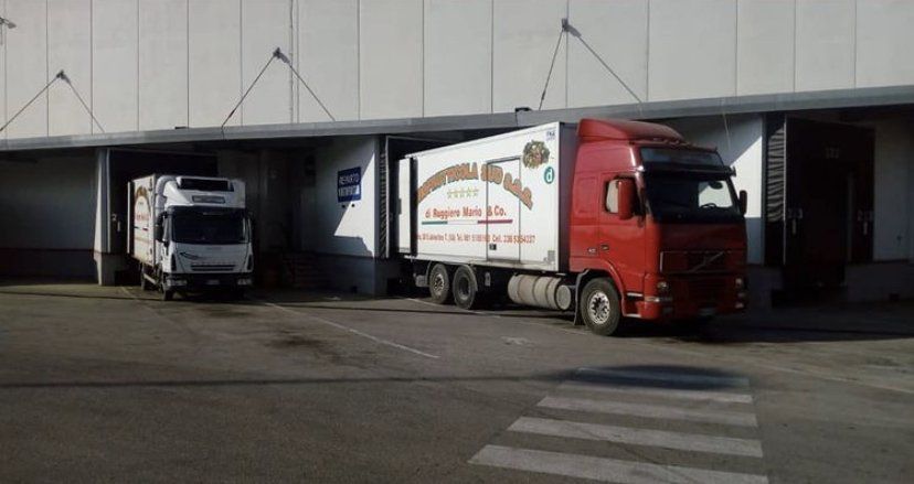 Due camion per le consegne parcheggiati sulle banchine di carico sotto la tettoia di un magazzino, uno rosso e uno bianco