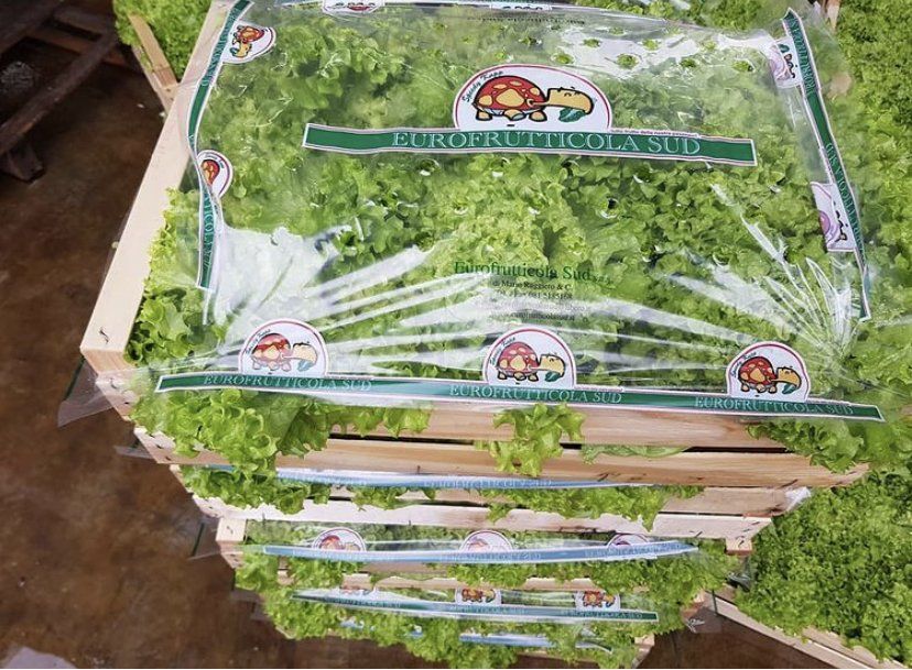 Cassette impilate di erbe aromatiche a foglia verde avvolte in plastica trasparente su una bancarella del mercato.