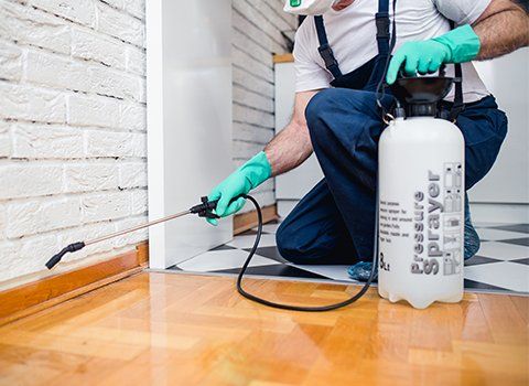Irmo — Professional Exterminator in Lexington, SC Irmo — Professional Exterminator in Lexington, SC